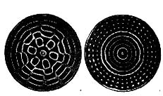 Sand Patterns Created by Different Frequencies of Sound